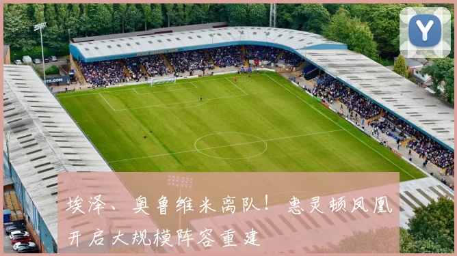 埃泽、奥鲁维米离队！惠灵顿凤凰开启大规模阵容重建