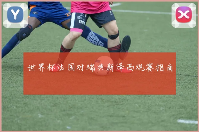 世界杯法国对瑞典新泽西观赛指南